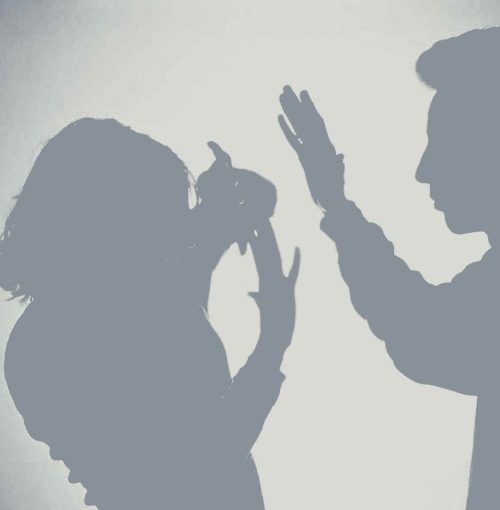 Bilde av fremsiden av PATRIARK manualen