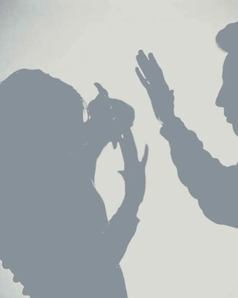 Bilde av fremsiden av PATRIARK manualen